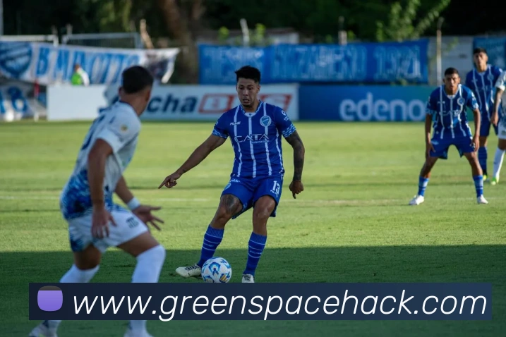 奇异果网页版平台生态图